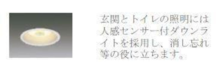 フェリーチェのその他画像