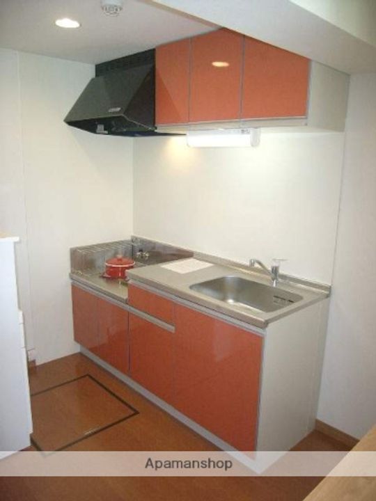 ノースフィールドユタカ106のキッチン