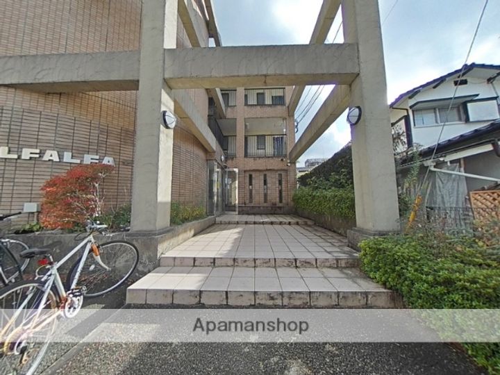 アルファルファAのその他画像