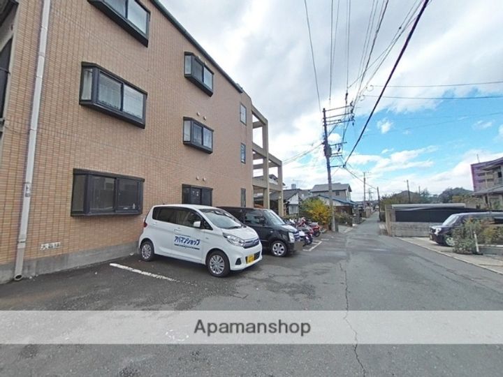 アルファルファAのその他画像