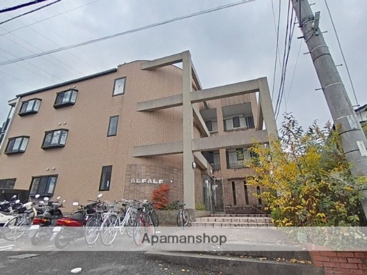 アルファルファAの外観