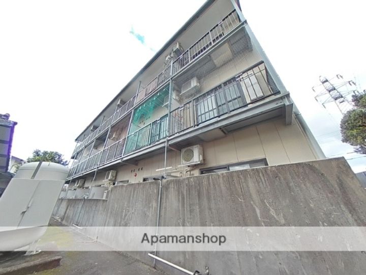 アルファルファAの外観