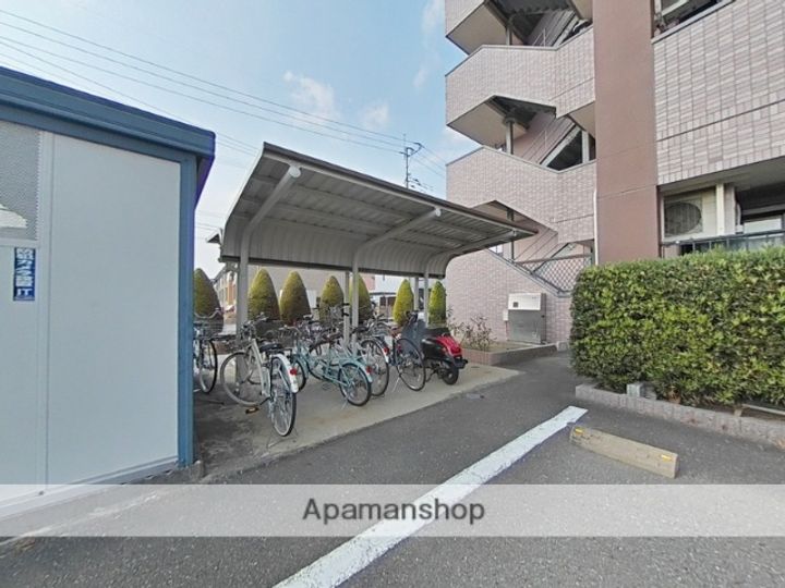 シーベルのその他画像