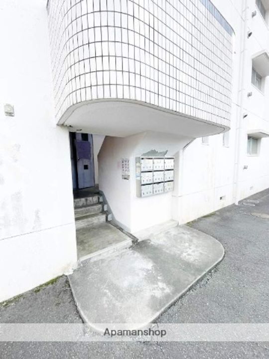 シェル幹401のその他画像