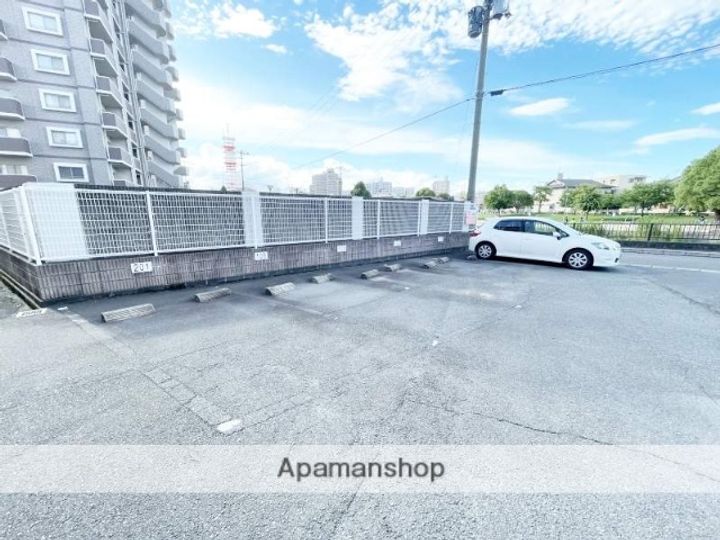 シェル幹401のその他画像