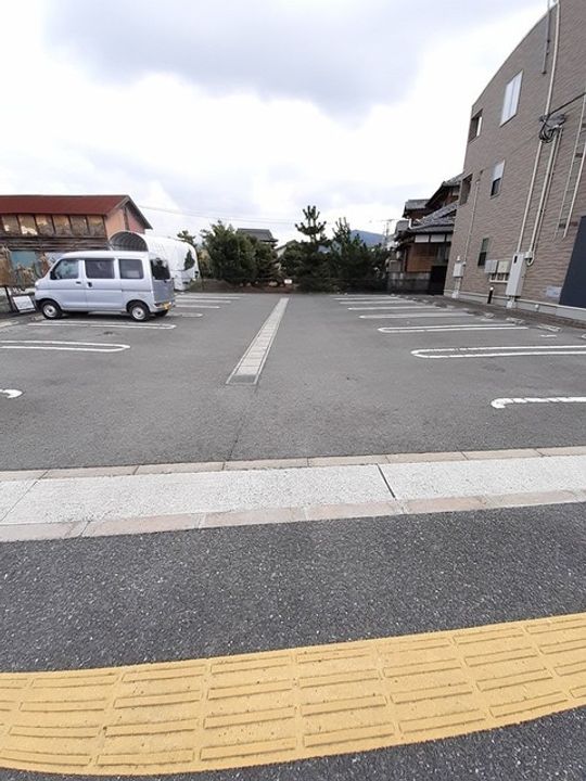 パーシモンのその他画像