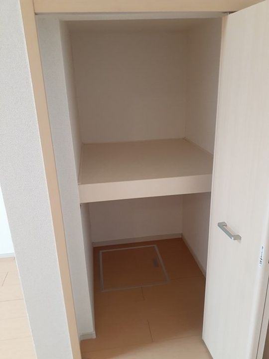 パーシモンのその他画像