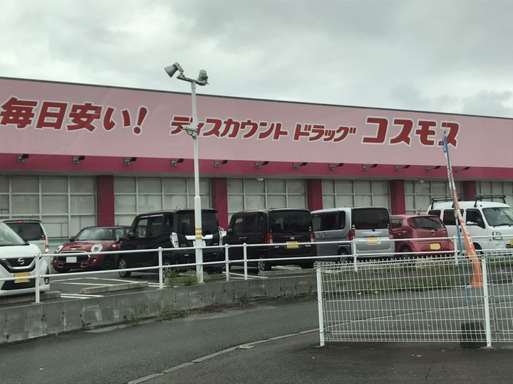 グリーン カトレアの周辺