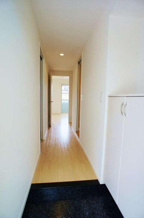 ウィング東合川の玄関