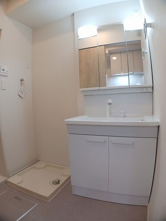 オリーブのその他画像