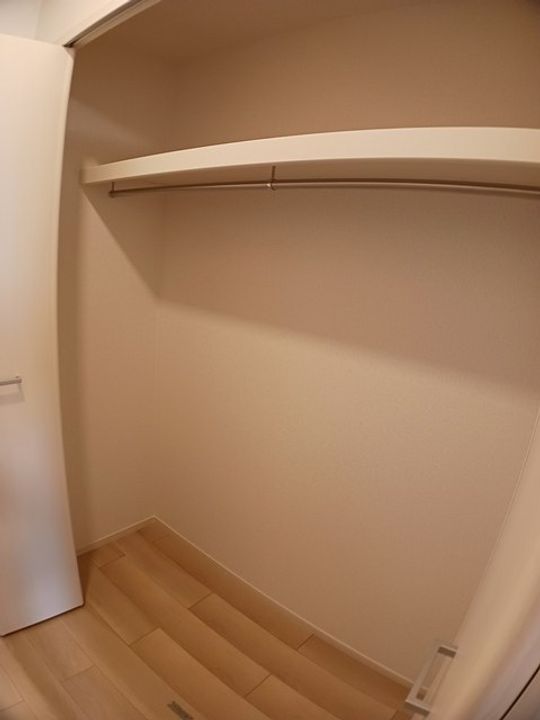 オリーブのその他画像