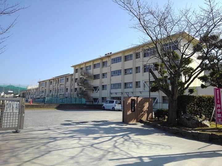 オリーブの周辺