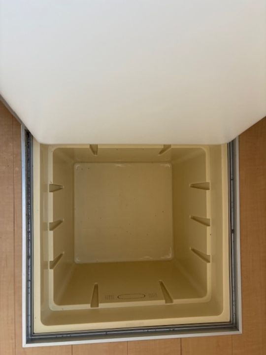 グリーン カトレアのその他画像