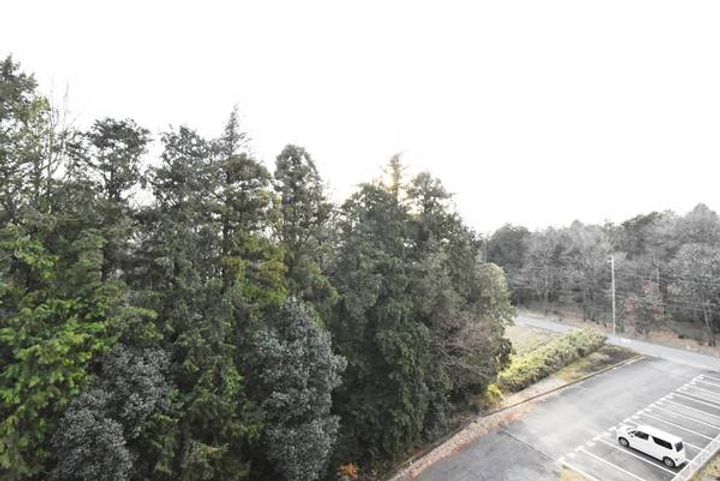 ビレッジハウス上三川南2号棟の内装