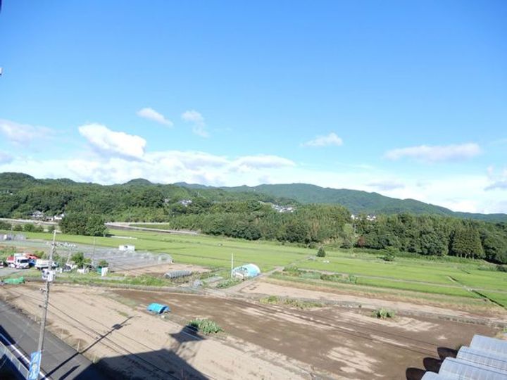 ビレッジハウス美園Ⅱ8号棟の内装