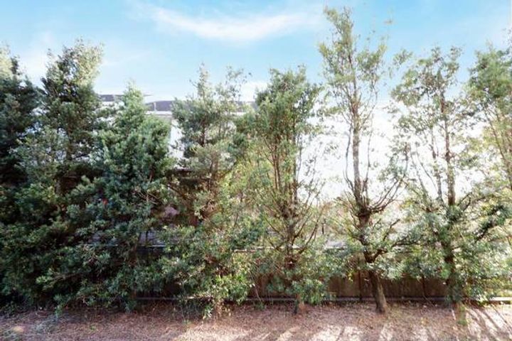 ビレッジハウス八女室岡1号棟0104のその他画像