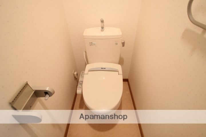 ヴェルシャトレーのその他画像