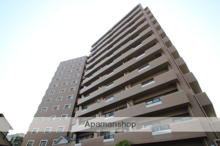 プリアデス岩屋1102の外観