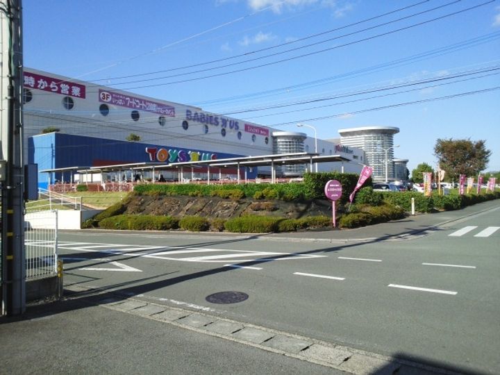 プリムローズの周辺