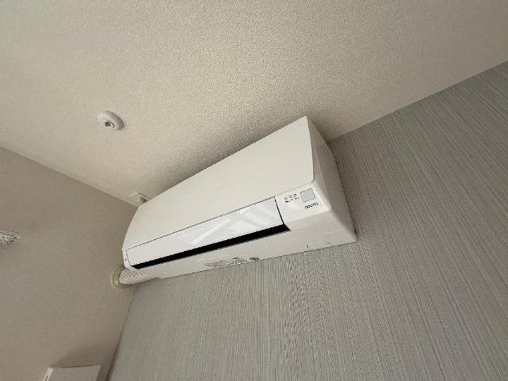 PLUMA BRANCAのその他画像