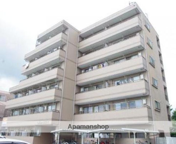 熊本県熊本市中央区薬園町の賃貸マンションの外観