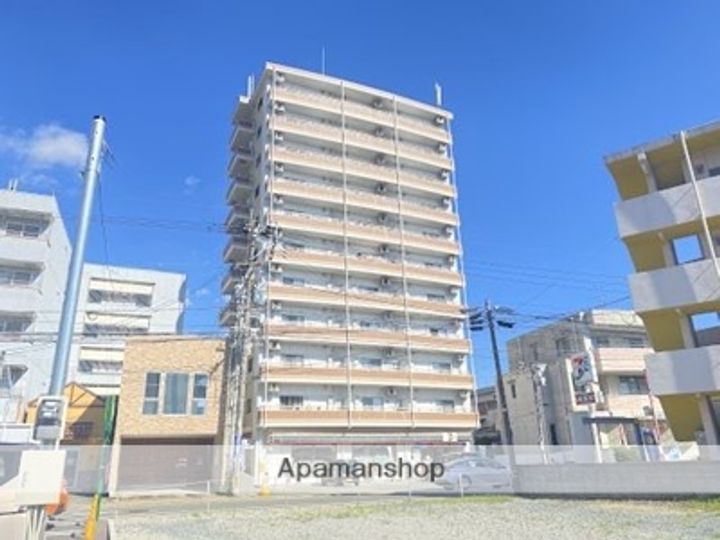 サテンドール黒髪の外観