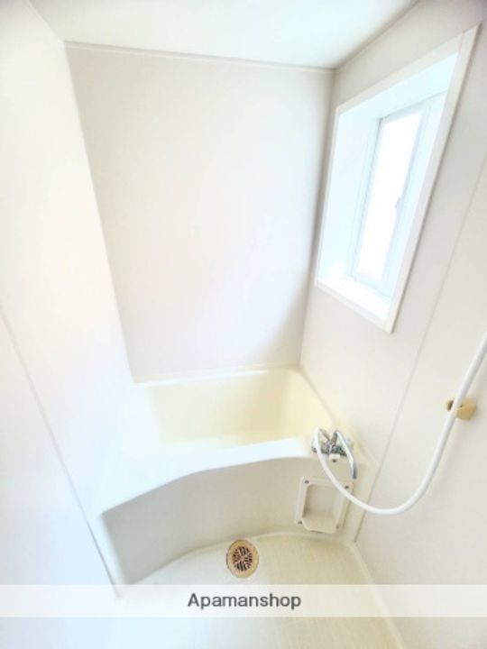 ウォークス島崎202の風呂