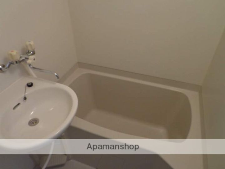 熊本県熊本市中央区本山町の賃貸マンションの風呂