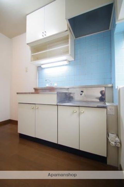 熊本県熊本市中央区薬園町の賃貸アパートのキッチン
