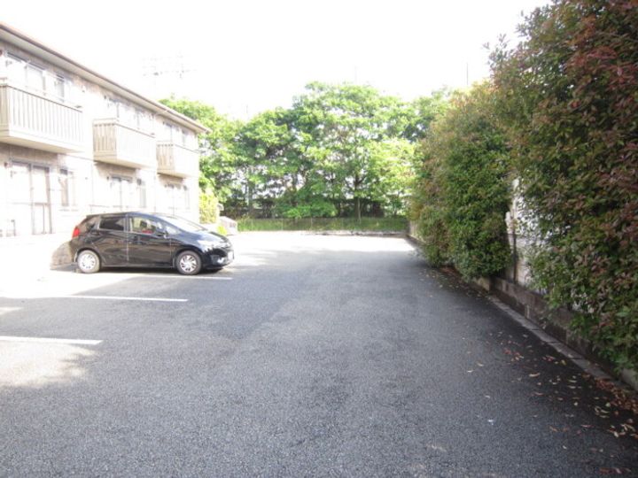 フリューゲルのその他画像