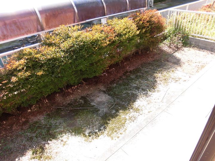 エスボワール A棟の内装