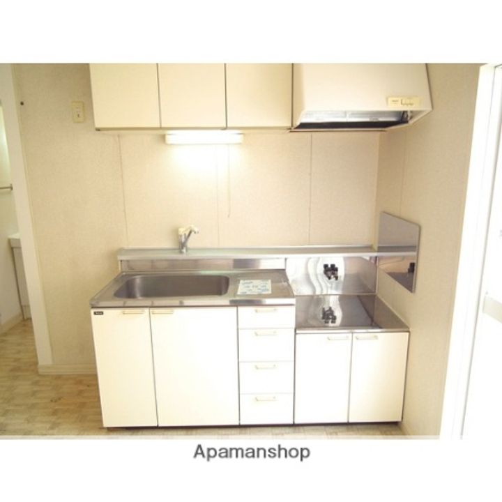 熊本県熊本市中央区坪井1丁目の賃貸アパートのキッチン