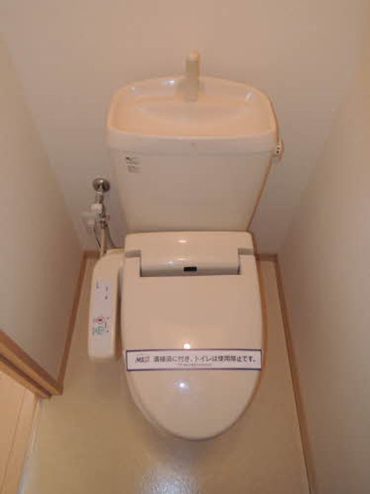 マンダリーナのその他画像