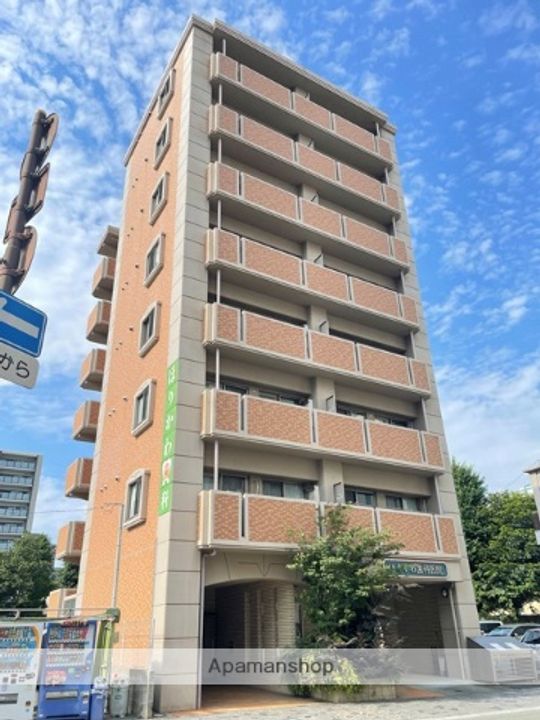 熊本県熊本市中央区水前寺公園の賃貸マンションの外観