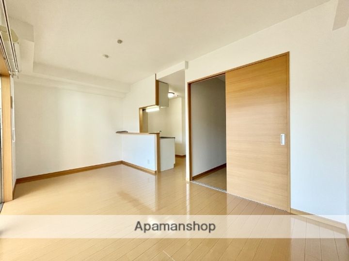 熊本県熊本市中央区菅原町の賃貸マンションの居間