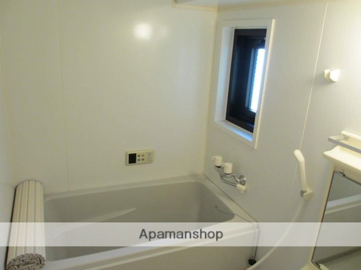 熊本県熊本市中央区南熊本5丁目の賃貸マンションの風呂