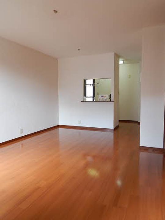 熊本県熊本市南区島町4丁目の賃貸アパート102の居間