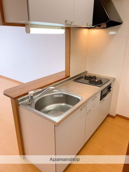 PARK WAILEA401のキッチン