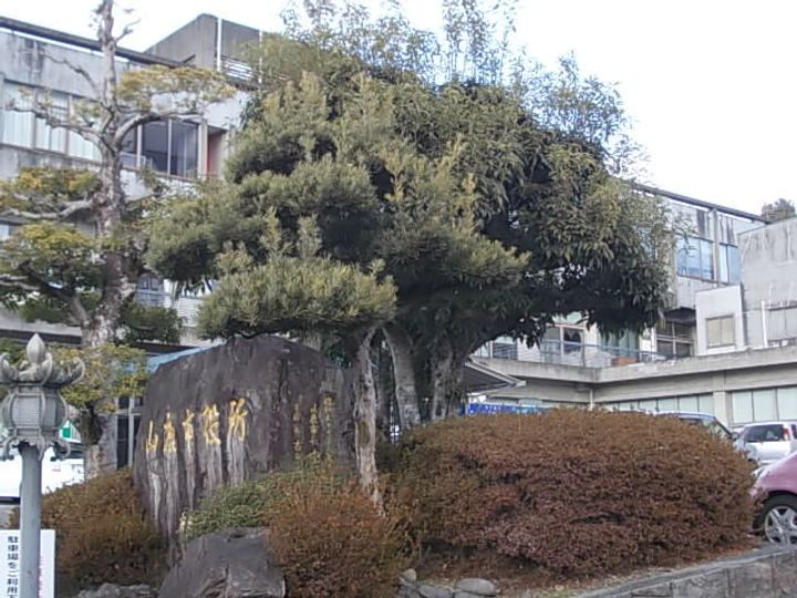 アベニューの周辺