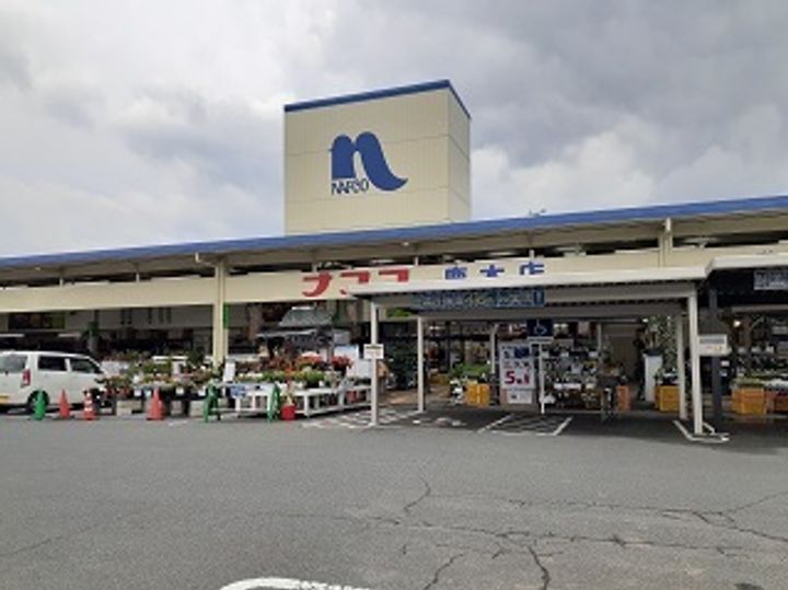 アベニューの周辺