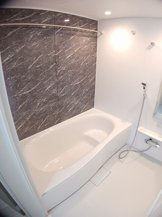 ル・プレジール Bの風呂