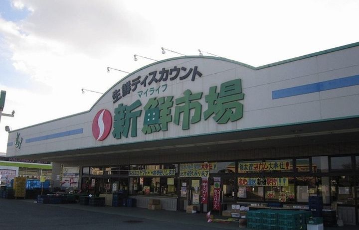 エルフィン 五番館の周辺