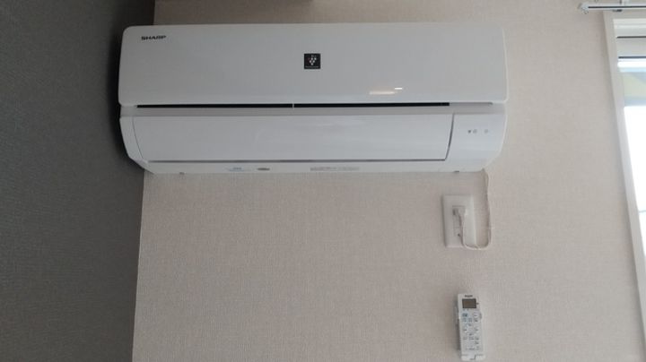 ラ・フェスタのその他画像
