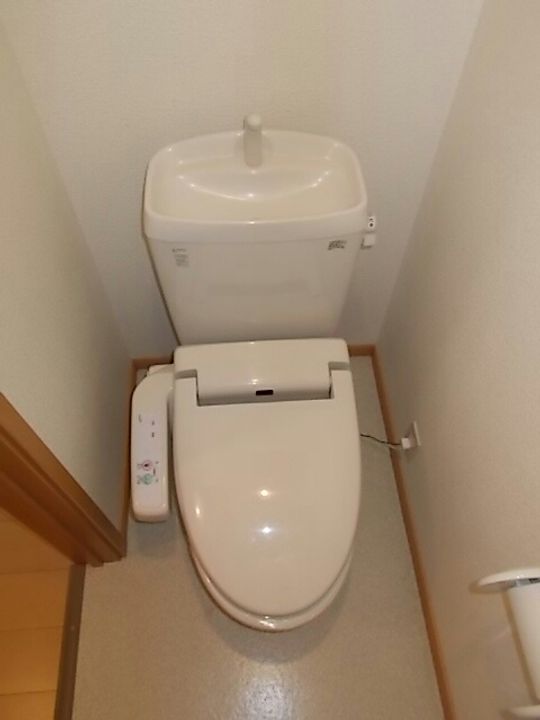 サニーのその他画像