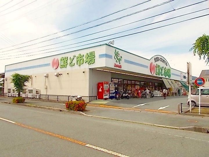 サニーの周辺
