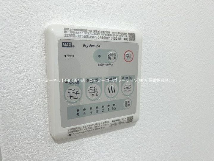 COCO KIKUCHIのその他画像