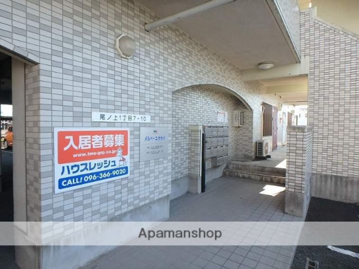 熊本県熊本市東区尾ノ上1丁目の賃貸マンションの外観