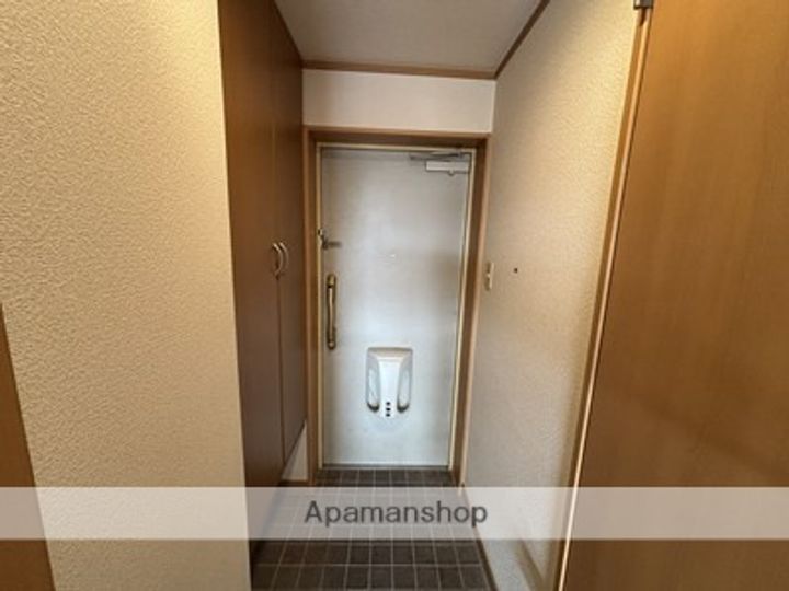 熊本県熊本市南区良町2丁目の賃貸マンションの玄関