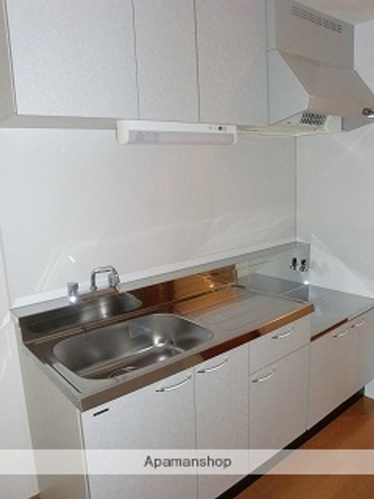 熊本県熊本市東区錦ケ丘の賃貸マンションのキッチン