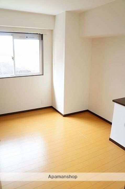熊本県菊池郡菊陽町大字原水の賃貸マンションの内装
